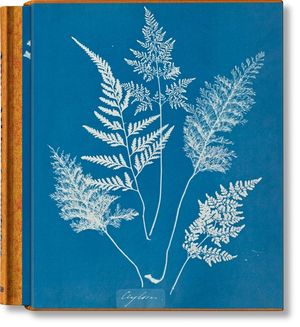 Anna Atkins. Cyanotypes image number 0