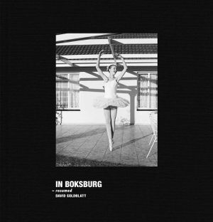 David Goldblatt: In Boksburg image number 0