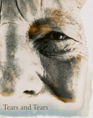 David Bailey: Tears and Tears image number 0