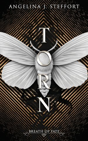 Torn image number 0