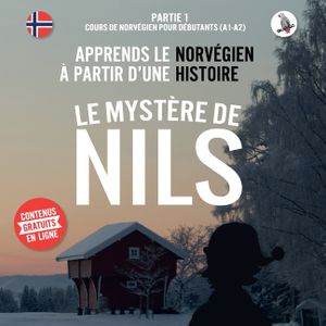 Le myst&egrave;re de Nils. Partie 1 - Cours de norv&eacute;gien pour d&eacute;butants (A1/A2). Apprends le norv&eacute;gien &agrave; partir d'une histoire. image number 0