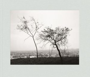 Robert Adams: Los Angeles Spring image number 0