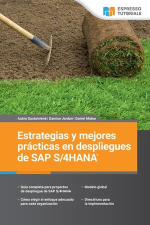 Estrategias y mejores pr&aacute;cticas en despliegues de SAP S/4HANA image number 0