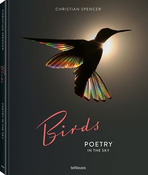 Birds image number 0