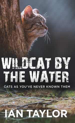 Wildcat By The Water: Cats As You've Never Known Them image number 0