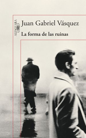 La Forma de Las Ruinas / The Shape of Ruins image number 0