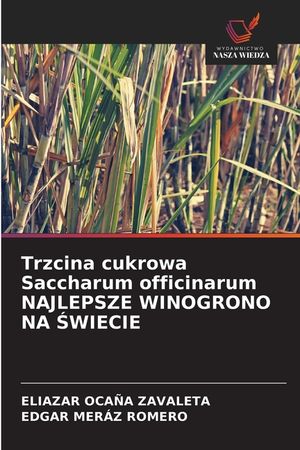 Trzcina cukrowa Saccharum officinarum NAJLEPSZE WINOGRONO NA ŚWIECIE image number 0