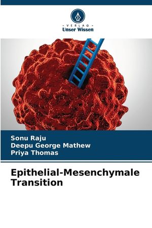 Epithelial-Mesenchymale Transition image number 0