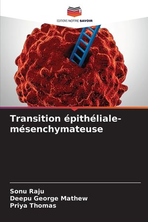 Transition &eacute;pith&eacute;liale-m&eacute;senchymateuse image number 0