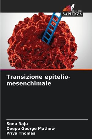 Transizione epitelio-mesenchimale image number 0