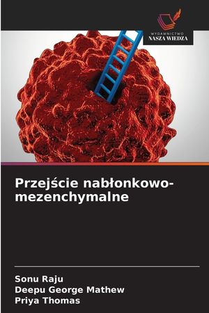 Przejście nablonkowo-mezenchymalne image number 0