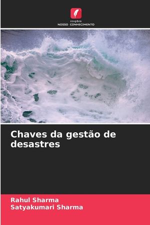 Chaves da gest&atilde;o de desastres image number 0