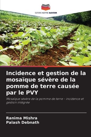 Incidence et gestion de la mosa&iuml;que s&eacute;v&egrave;re de la pomme de terre caus&eacute;e par le PVY image number 0