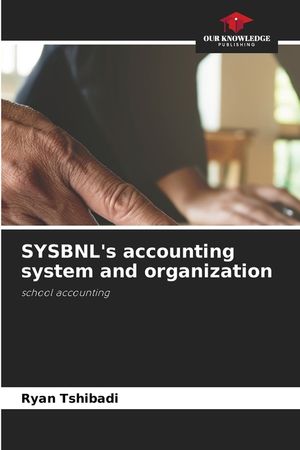 SYSBNL's accounting system and organization image number 0