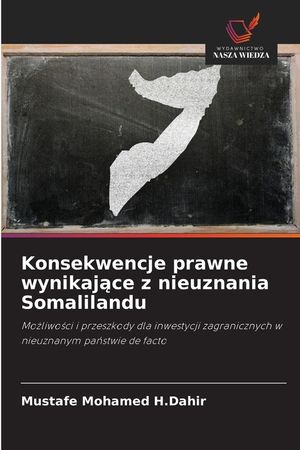 Konsekwencje prawne wynikające z nieuznania Somalilandu image number 0
