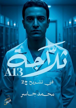 A13 ثلاجة image number 0