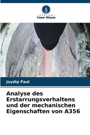Analyse des Erstarrungsverhaltens und der mechanischen Eigenschaften von A356 image number 0