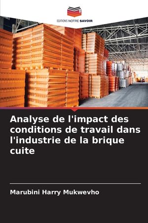 Analyse de l'impact des conditions de travail dans l'industrie de la brique cuite image number 0