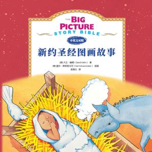 The Big Picture Story Bible (New Testament) 新约启蒙故事 image number 0