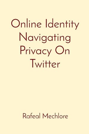 Online Identity Navigating Privacy On Twitter image number 0