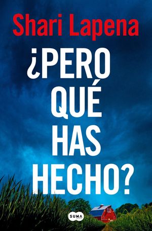 &iquest;Pero Qu&eacute; Has Hecho?/ What Have You Done? image number 0