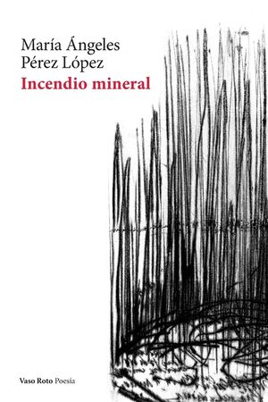 Incendio mineral image number 0