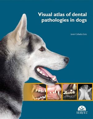 Visual Atlas of Dental Pathologies in Dogs image number 0
