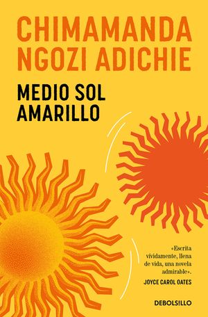 Medio Sol Amarillo / Half of a Yellow Sun image number 0