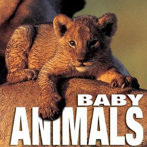 Baby Animals image number 0