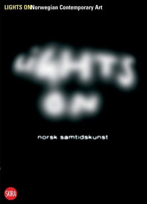 Lights on: Norwegian Contemporary Art image number 0