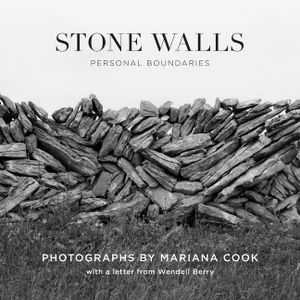 Stone Walls: Personal Boundaries image number 0