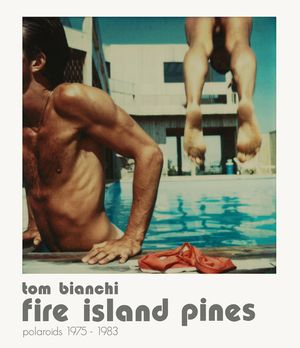 Tom Bianchi: Fire Island Pines: Polaroids 1975-1983 image number 0