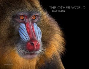 Brad Wilson: The Other World: Animal Portraits image number 0