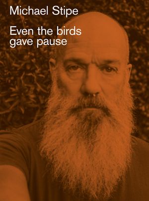 Michael Stipe: Even the Birds Gave Pause image number 0