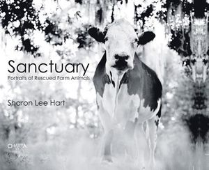 Sharon Lee Hart: Sanctuary: Portraits of Rescued Farm Animals image number 0