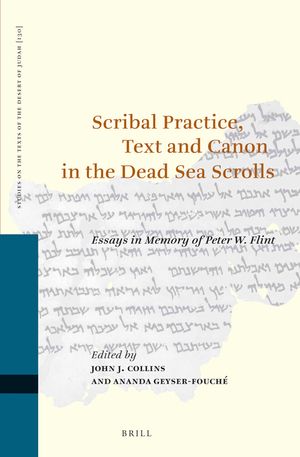 Scribal Practice, Text and Canon in the Dead Sea Scrolls: Essays in Memory of Peter W. Flint image number 0