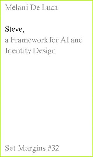 Steve: A Framework for AI and Identity Design image number 0