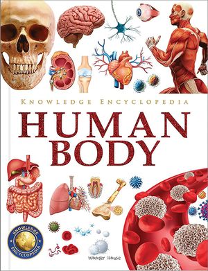Knowledge Encyclopedia: Human Body image number 0