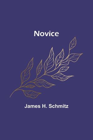 Novice image number 0
