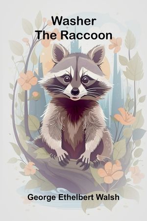 Washer The Raccoon image number 0