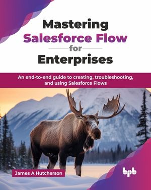 Mastering Salesforce Flow for Enterprises: An end-to-end guide to creating, troubleshooting, and using Salesforce Flows (English Edition) image number 0