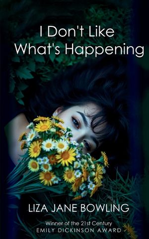 I Don't Like What's Happening image number 0