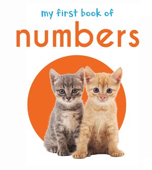 My First Book of Numbers: First Board Book image number 0