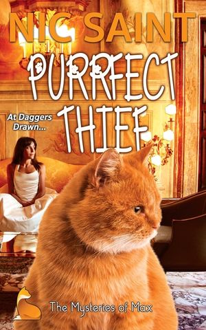 Purrfect Thief image number 0