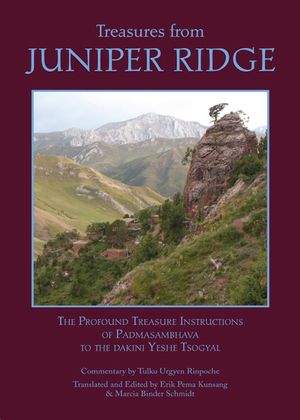 Treasures from Juniper Ridge image number 0