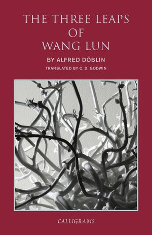 The Three Leaps of Wang Lun: A Chinese Novel image number 0