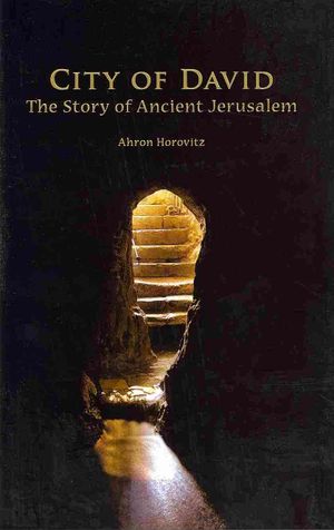 City of David : The Story of Ancient Jerusalem image number 0