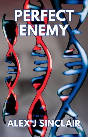 Perfect Enemy image number 0