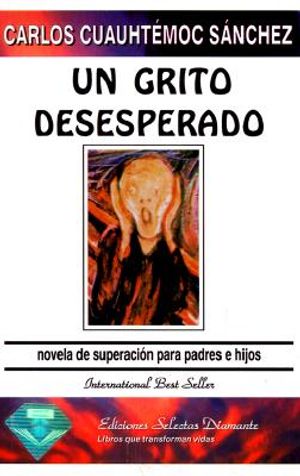 Un Grito Desesperado: Novela de Superacion Para Padres E Hijos image number 0