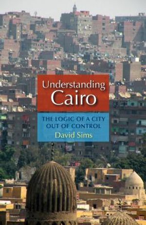 Understanding Cairo: The Logic of a City Out of Control image number 0